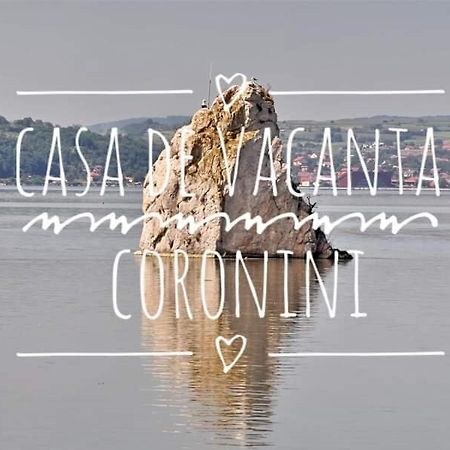 Casa De Vacanta Danube Moldova Noua エクステリア 写真